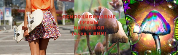 первитин Приозерск